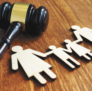 Florida House Bill 971