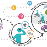 Brain Health is Trainable