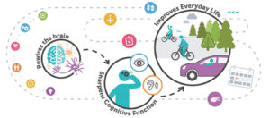 Brain Health is Trainable