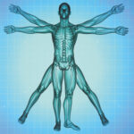 Hearing & Whole-Body Health