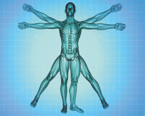 Hearing & Whole-Body Health