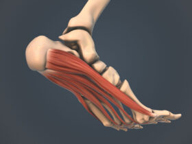 Orthotics Restructure