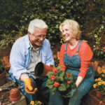 Knee Replacement Surgery
