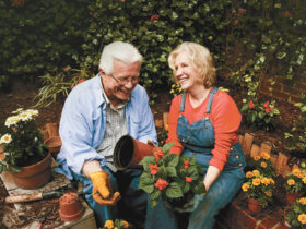Knee Replacement Surgery