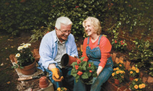 Knee Replacement Surgery